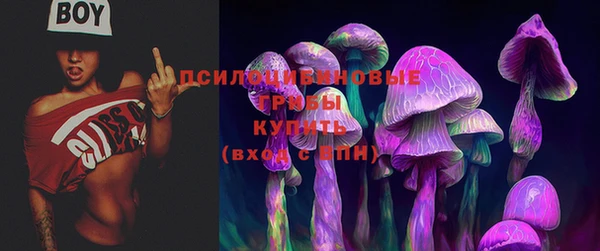 прущие крисы Кинешма