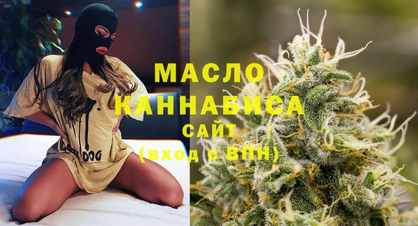 гашик Козловка