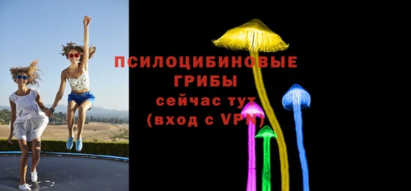 молекула духа Киренск