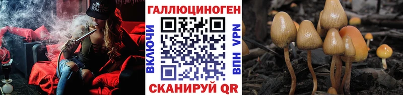 Галлюциногенные грибы Cubensis  Купить где  Беслан 